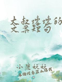 大叔坏坏的撩人文案短句