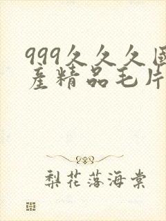 999久久久国产精品毛片