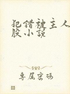 犯错被主人打屁股小说