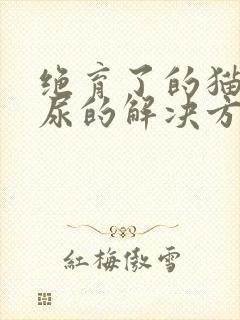 绝育了的猫咪乱尿的解决方法