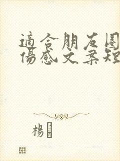 适合朋友圈发的伤感文案短句