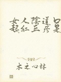 女人阴道口两侧起红丘疹是怎么回事