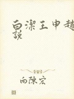 白洁王申赵振小说
