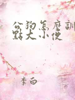 公狗怎么训练定点大小便