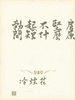 勃起不坚房事时间短什么原因引起的