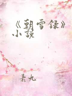 《朝雪录》原著小说