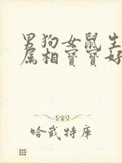 男狗女鼠生什么属相宝宝好