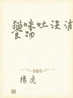 猫咪吐没消化的食物