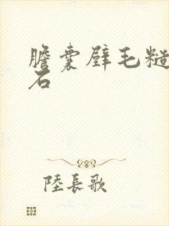 胆囊壁毛糙无结石