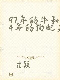 97年的牛和94年的狗配夫妻合适吗