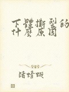 下体撕裂的疼是什么原因