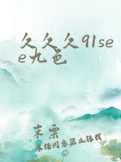 久久久91see九色