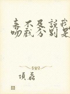 来不及说我爱你吻戏分别是多少集