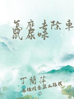 怎么去除车里老鼠尿味