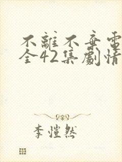 不离不弃电视剧全42集剧情简介