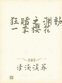 狂赌之渊动漫第一季樱花