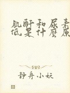 肌酐和尿素氮偏低是什么原因