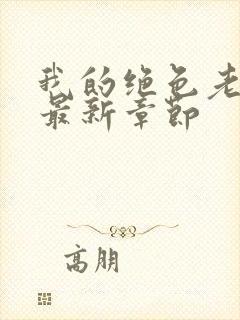 我的绝色老板娘最新章节