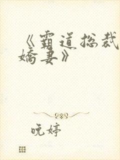 《霸道总裁的小娇妻》