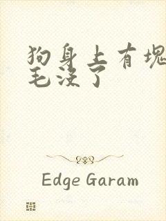 狗身上有块地方毛没了