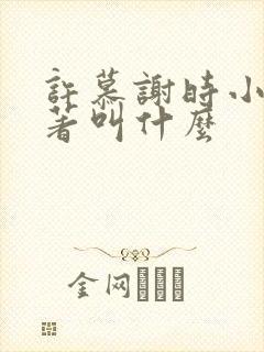 许慕谢时小说原著叫什么