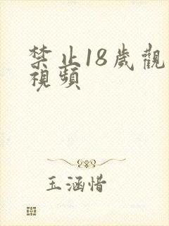 禁止18岁观看视频
