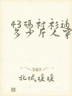 43码衬衫适合多少斤人穿