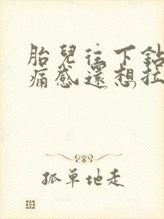 胎儿往下钻有刺痛感还想拉尿