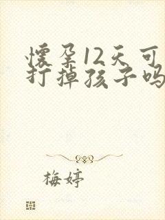 怀孕12天可以打掉孩子吗