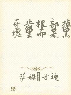 牙齿根部掉了一块里面是黑的