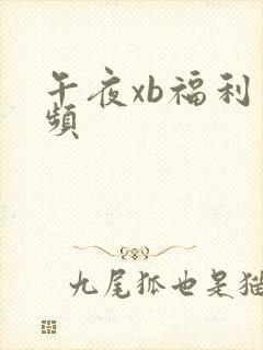 午夜xb福利视频