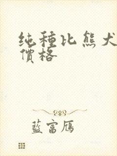 纯种比熊犬市场价格