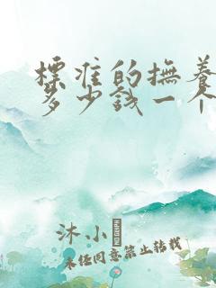 标准的抚养费是多少钱一个月呢