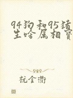 94狗和95猪生啥属相宝宝