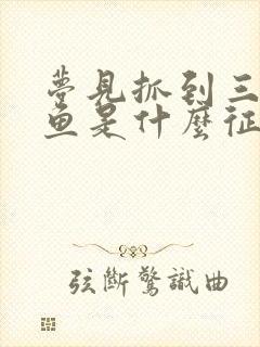 梦见抓到三条大鱼是什么征兆