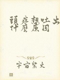 头疼想吐出汗是什么原因