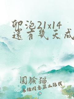 卵泡21x14还有几天成熟