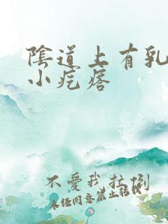 阴道上有乳头状小疙瘩