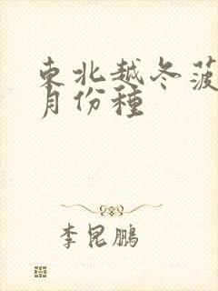 东北越冬菠菜几月份种