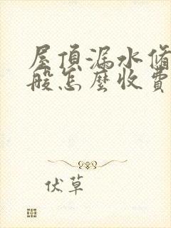 屋顶漏水修补一般怎么收费