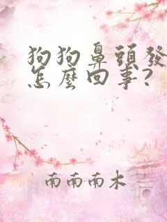 狗狗鼻头发干是怎么回事?