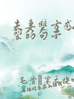 夫妻双方感情破裂的句子