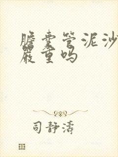 胆囊管泥沙结石严重吗