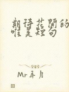 期待花开的句子唯美短句