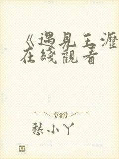 《遇见王沥川》在线观看