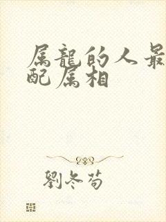 属龙的人最佳婚配属相