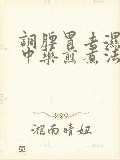 调脾胃去湿气的中药煎煮法