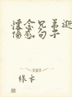 怀念兄弟逝世的伤感句子