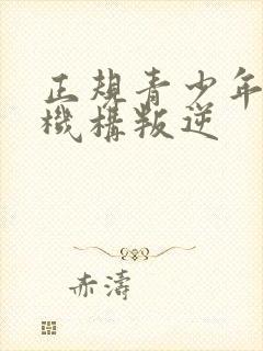 正规青少年管教机构叛逆