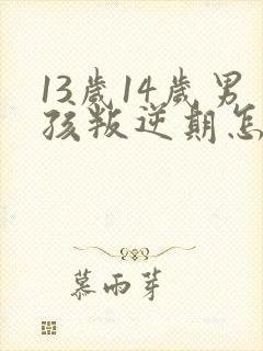 13岁14岁男孩叛逆期怎么办